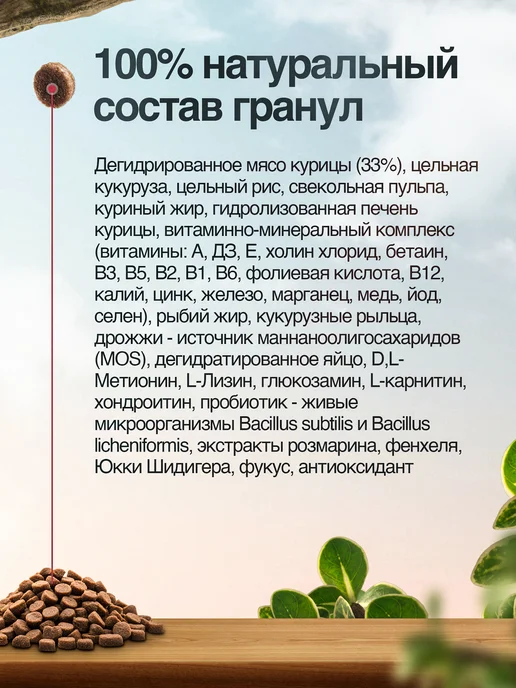 Сухой корм BLITZ для собак, крупные, 2 кг, фото 2