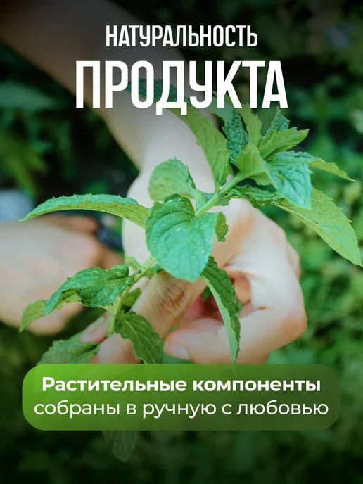 Мед и Конфитюр Травяные сборы для очищения организма Папиллома вирус 130гр, 130 г, фото 6