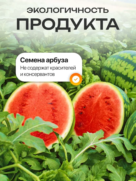 Мед и Конфитюр Масло арбузное нерафинированное, 250 мл, 250 мл, фото 6
