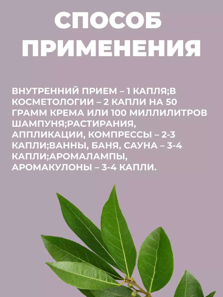 Масло лаврового листа 100 мл Мед и Конфитюр 97647918 купить в  интернет-магазине Wildberries