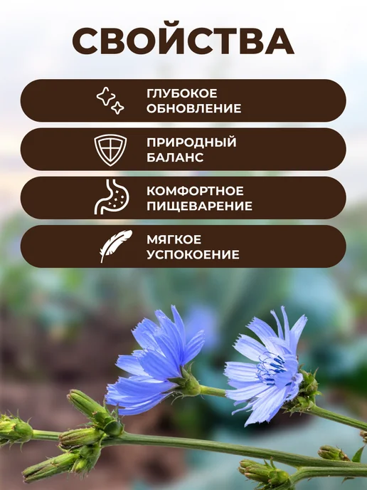 Мед и Конфитюр Цикорий натуральный 50 гр, 50 г, фото 3