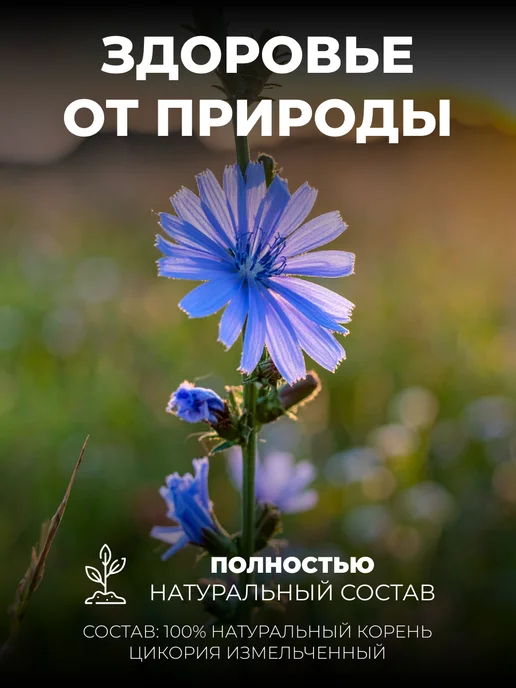 Мед и Конфитюр Цикорий натуральный 50 гр, 50 г, фото 4