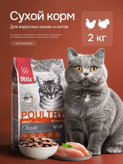 Корм для кошек сухой 2 кг Курица и Индейка Blitz 97699190 купить за 1 072 ₽ в интернет-магазине Wildberries