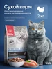 Сухой корм для стерилизованных кошек 2 кг с индейкой BLITZ 97701370 купить за 1 687 ₽ в интернет‑магазине Wildberries