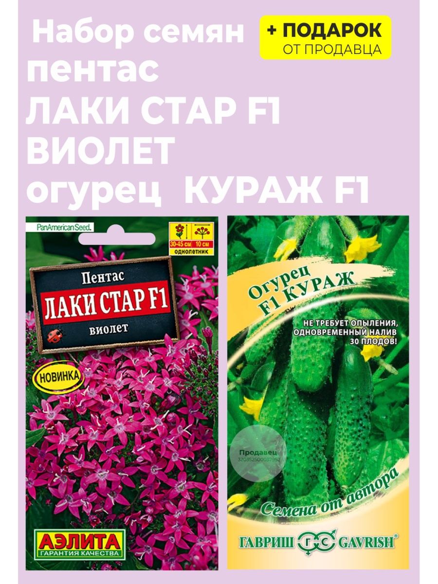 Пентас лаки стар f1