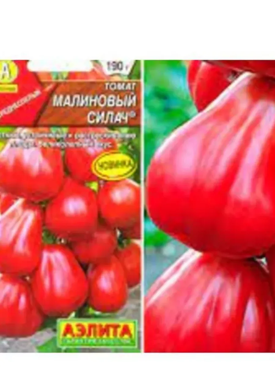 Малиновый силач описание. Малиновый силач описание. Томат малиновое пламя. Мона биф томат. Томат малиновый силач.
