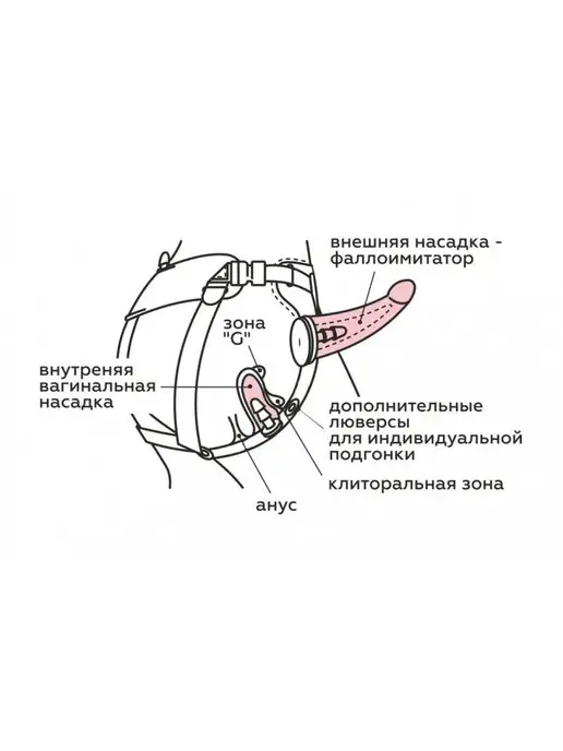 Lovetoy Страпонтрусики с двумя насадками, вариант, фото 4