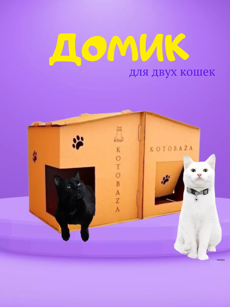 игрушки картон для кошек