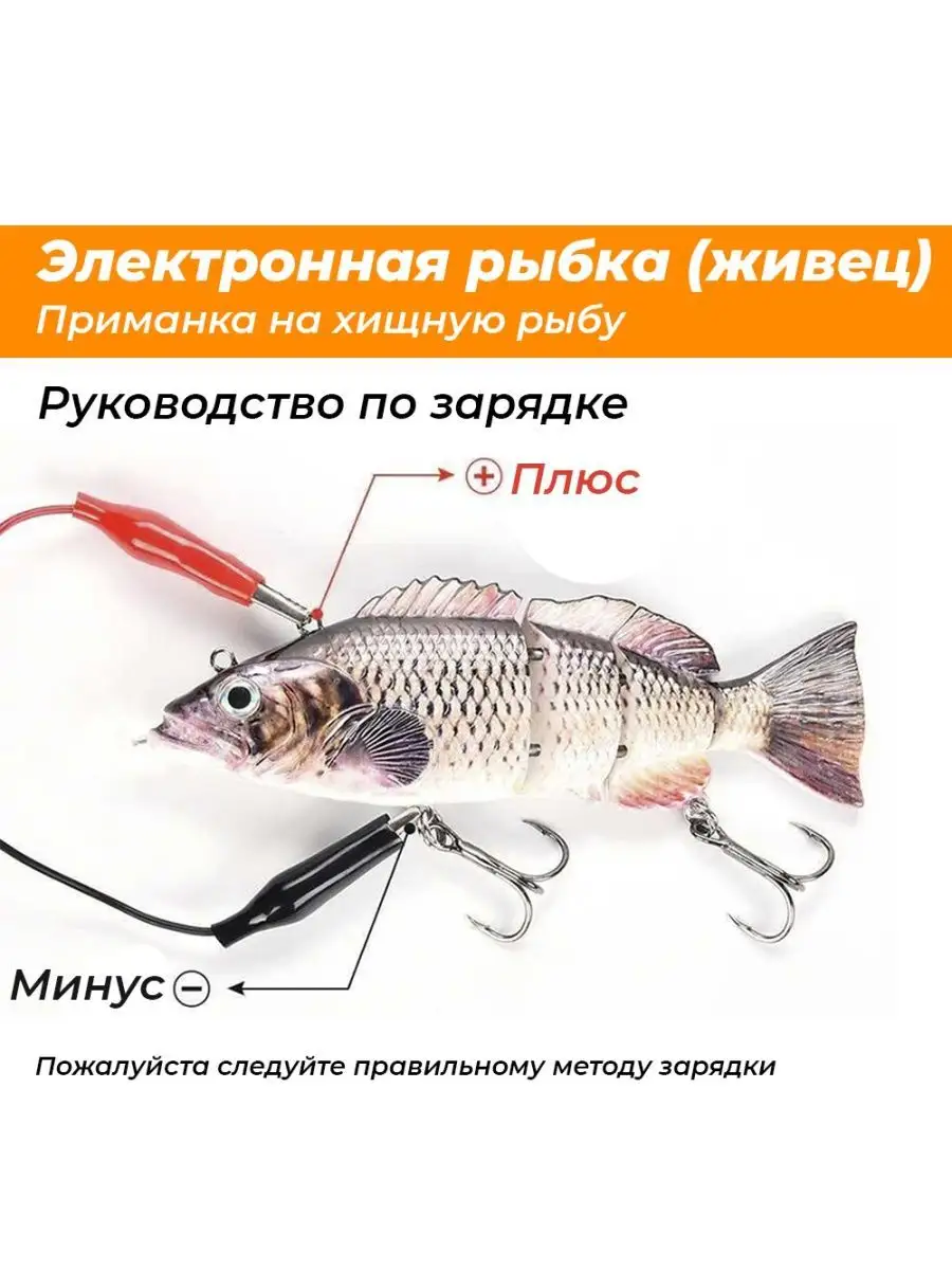 Электронная приманка для рыб или как зарабатывают деньги на пустышке