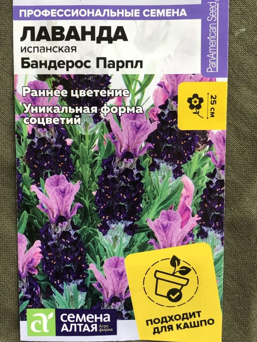 Семена испанской лаванды Бандерос парпл Лаванда 97955934 купить за 224 ₽ в  интернет-магазине Wildberries