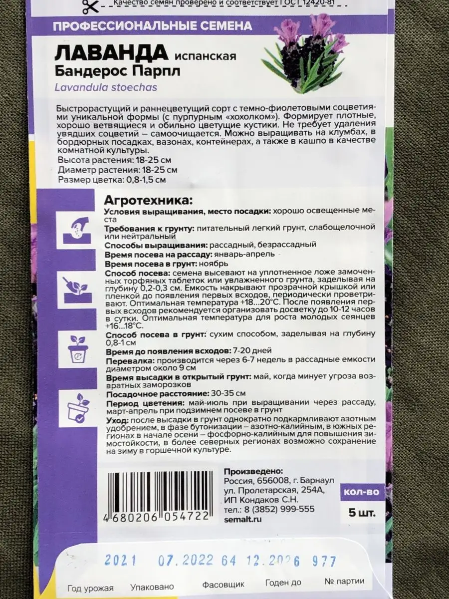 Семена испанской лаванды Бандерос парпл Лаванда 97955934 купить за 224 ₽ в  интернет-магазине Wildberries