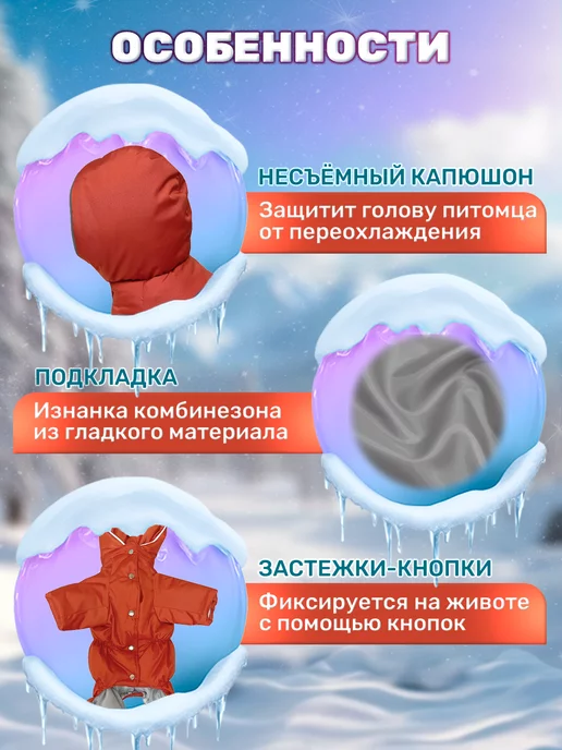 OSSO-fashion Комбинезон для собак мелких пород для девочек весна, оранжевый, фото 3