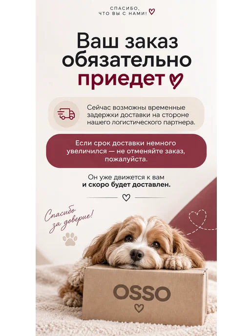OSSO-fashion Комбинезон для собак мелких пород для девочек весна, оранжевый, фото 7