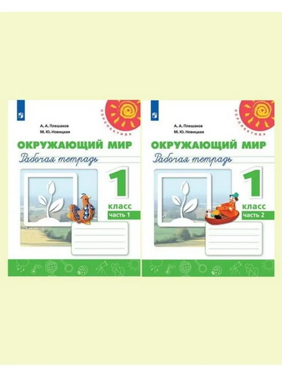 Ом 2 класс рабочая тетрадь плешаков. Окружающий мир 2 плешаков новицкая рабочая тетрадь. Окружающий мир 2 класс рабочая тетрадь. Ом 2 класс рабочая тетрадь плешаков. Окружающий мир 2 класс плешаков.