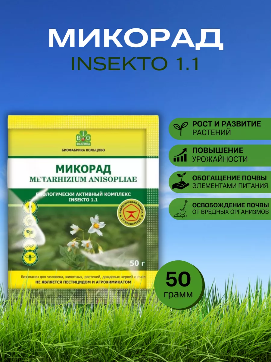 Микорад INSEKTO 1.1 инсекто метаризин 50 г Биофабрика Кольцово купить по цене 13,15 р. в интернет-магазине Wildberries в Беларуси | 98117473