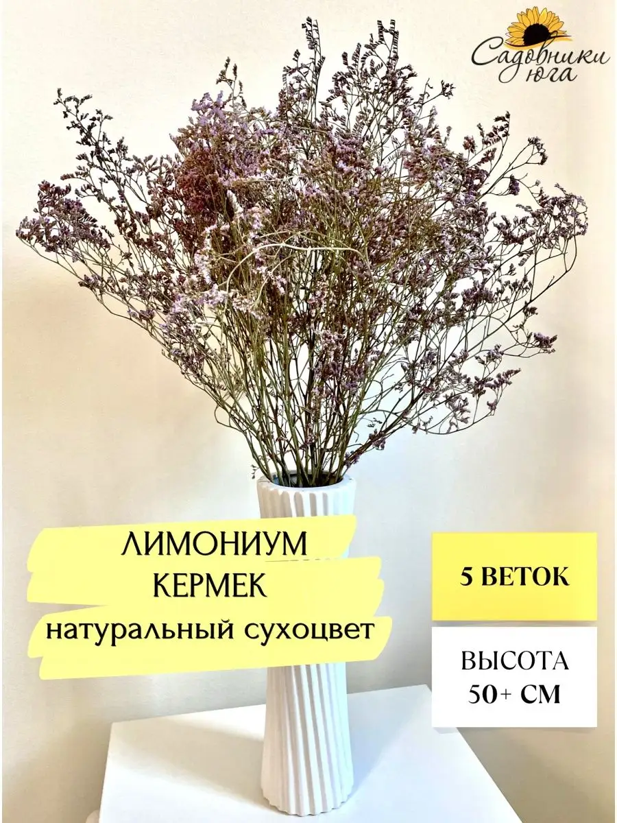 Сухоцветы для декора Лимониум Кермек Садовники Юга 98172739 купить за 380 ₽  в интернет-магазине Wildberries