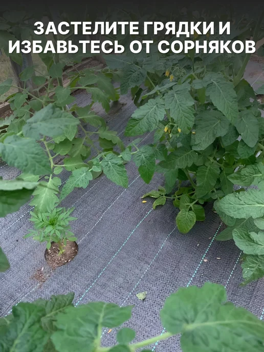 Prodax Агроткань от сорняков застилочная с разметкой 1,6х10 м, 1.6x10 м, 10 м, фото 2