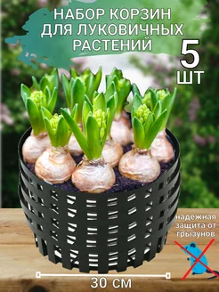 Корзины для луковичных растений, 5 шт SADZONE 98503676 купить за 455 ₽ в интернет-магазине Wildberries