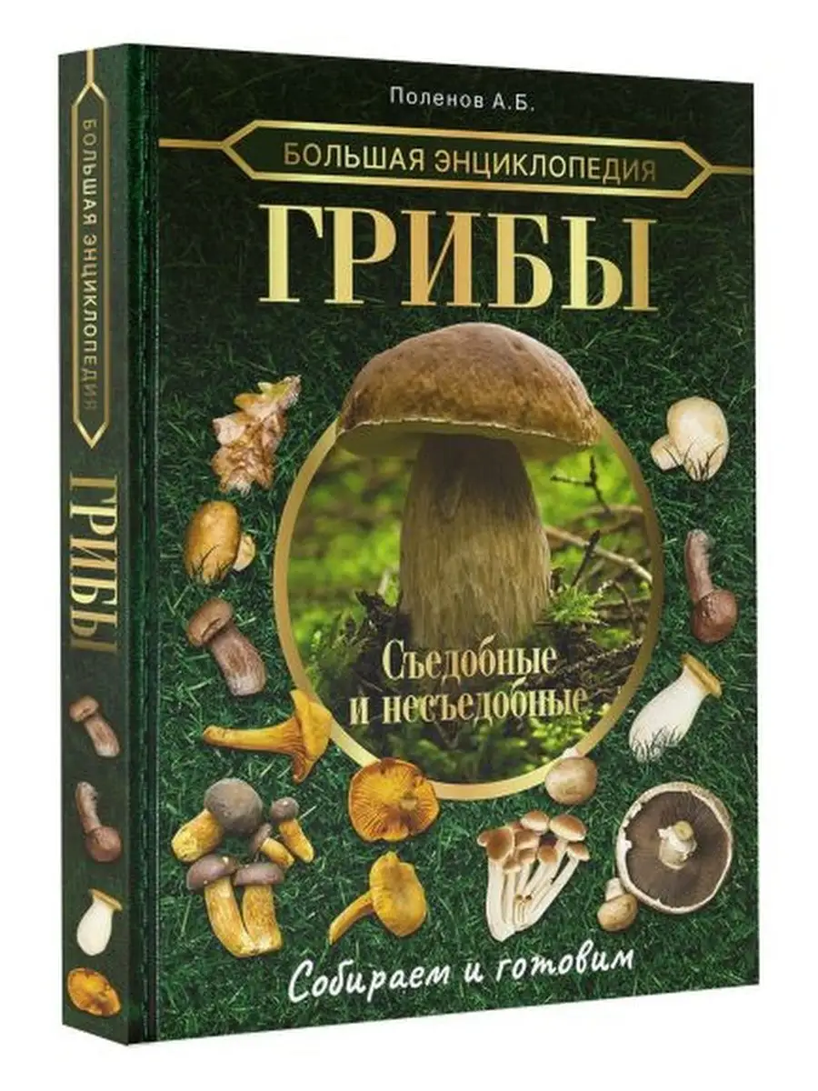 Большая энциклопедия. Грибы. Съедобные Издательство АСТ 98505626 купить за  1 034 ₽ в интернет-магазине Wildberries