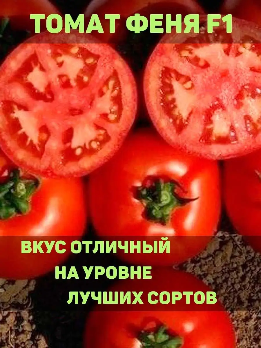Томаты Семена Алтая wqb4488164_светло-розовый - купить по выгодным ценам в интер
