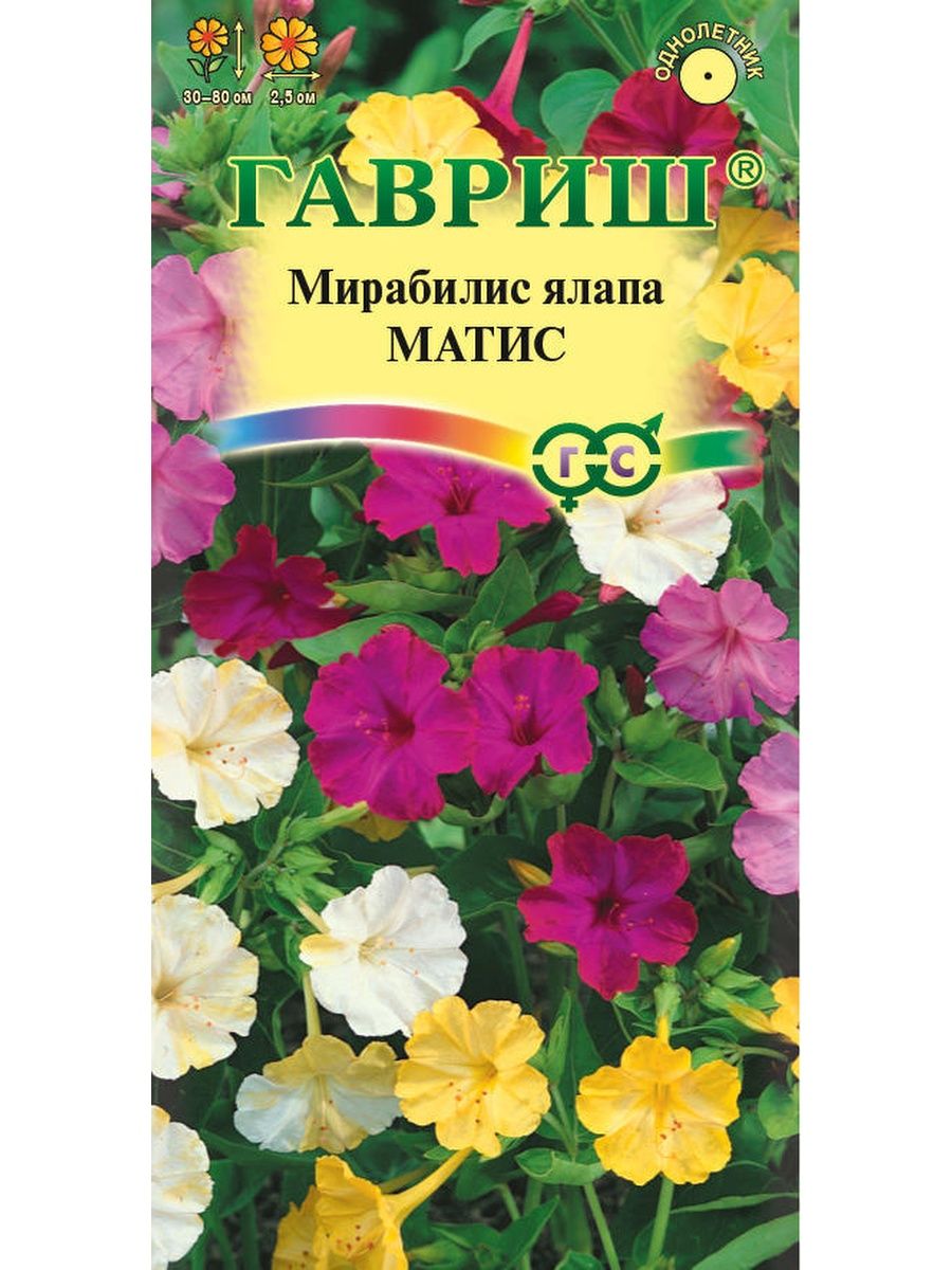 Мирабилис семена фото. Гавриш мирабилис. Мирабилис Матис. Мирабилис Матиас смесь. Мирабилис ялапа Матис смесь.