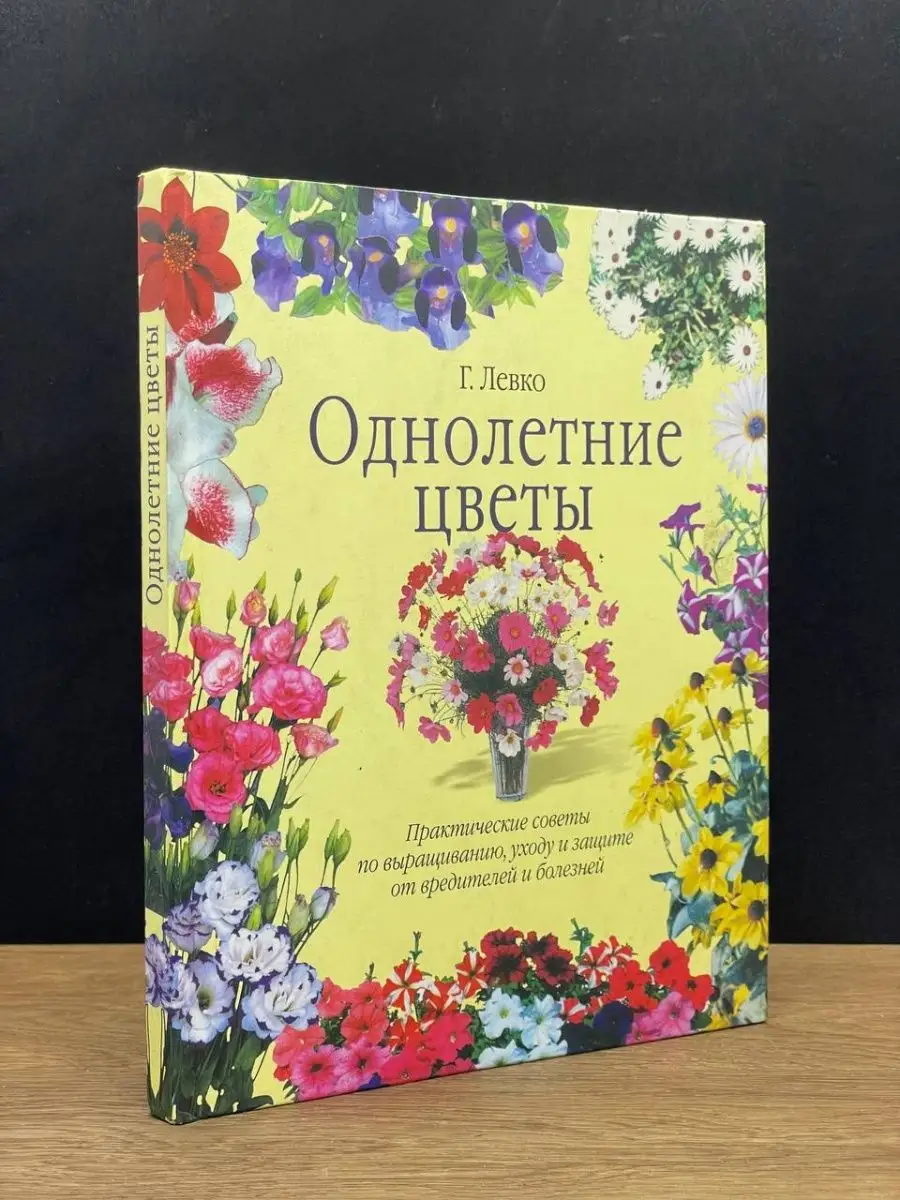 Однолетние цветы.