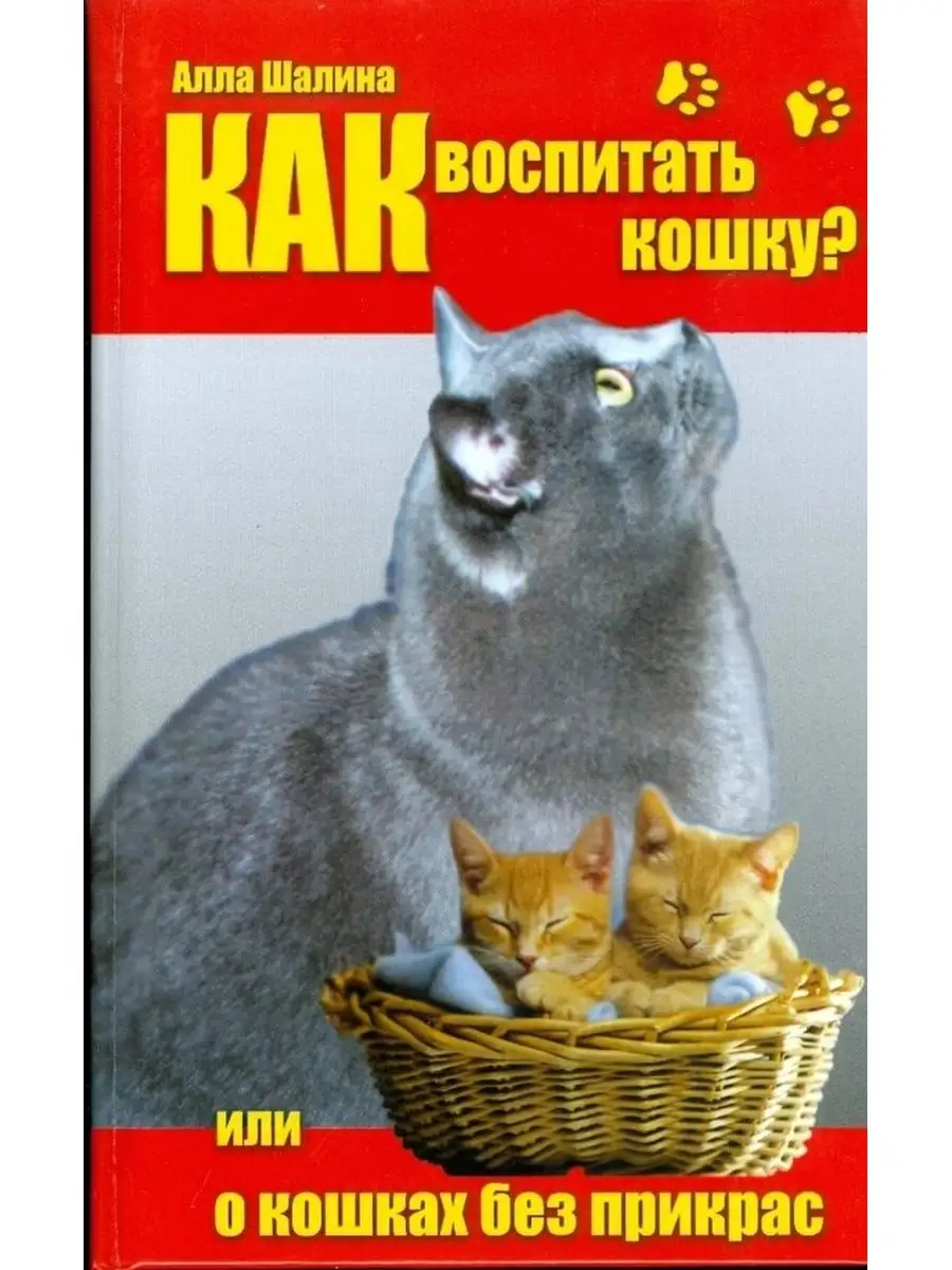 Как мама кошка воспитывает котят. Как воспитать котёнка правильно. Как воспитать кошку. Книга как воспитать кота. Как воспитать ласкового котенка.