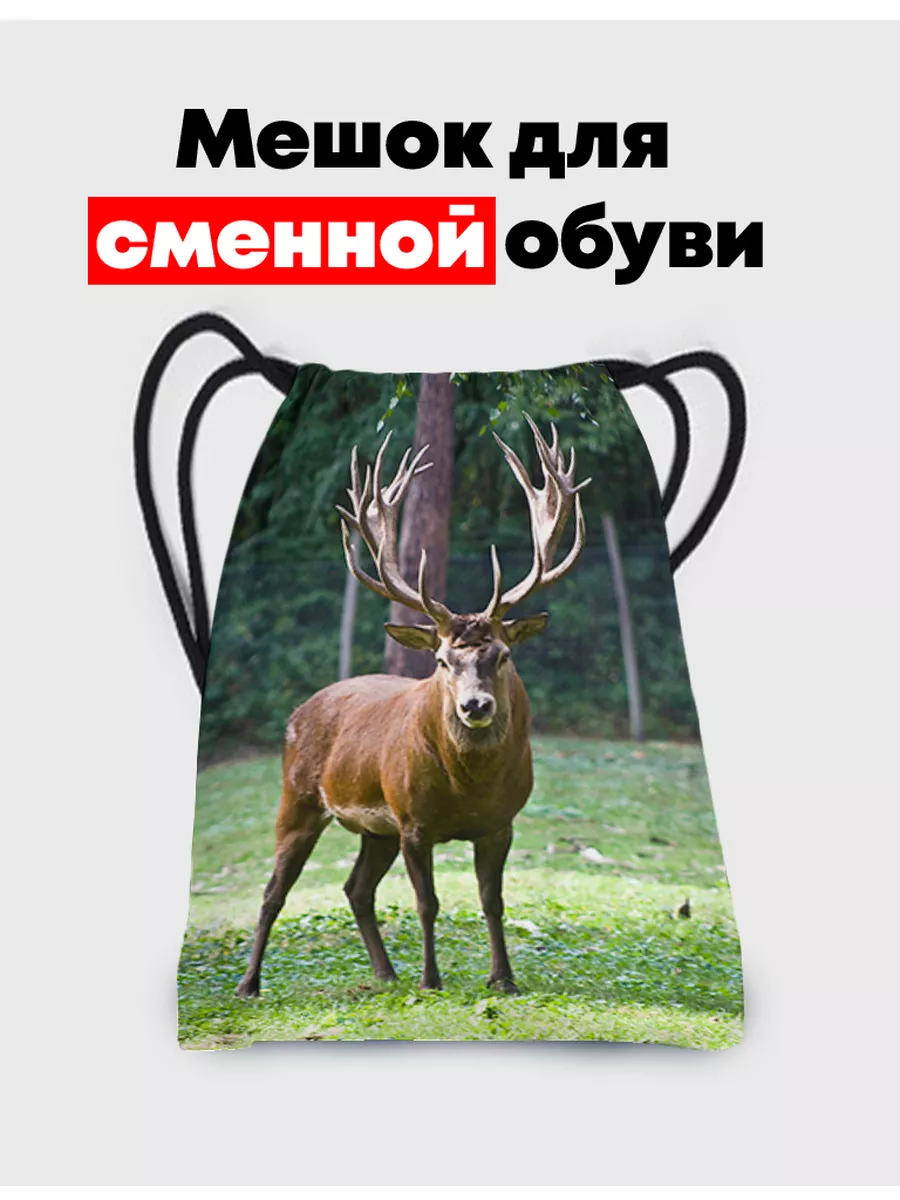 Мешок для обуви Дом совы BugrikShop 98988026 купить за 1 157 ₽ в  интернет-магазине Wildberries