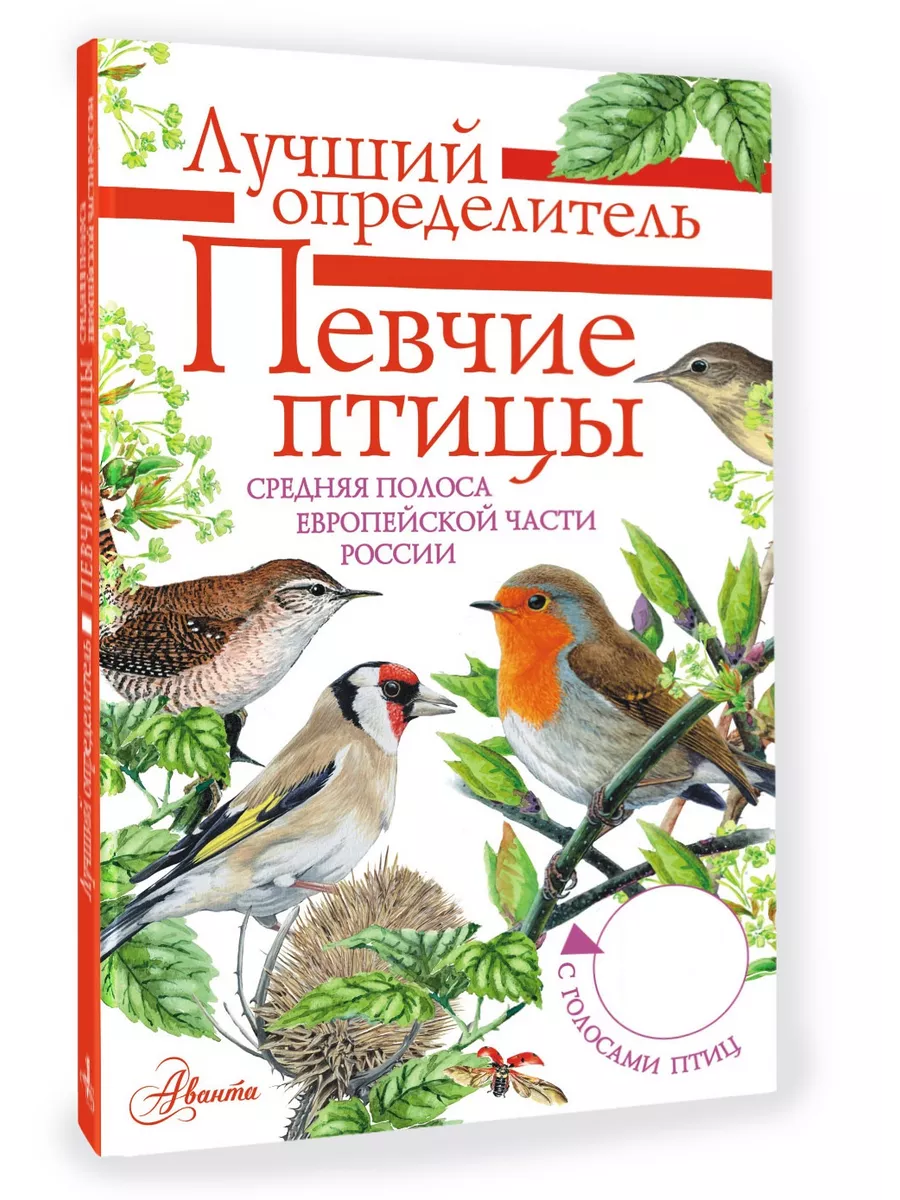 Певчие птицы. С голосами птиц/ Лучший определитель Издательство АСТ  99018897 купить за 403 ₽ в интернет-магазине Wildberries