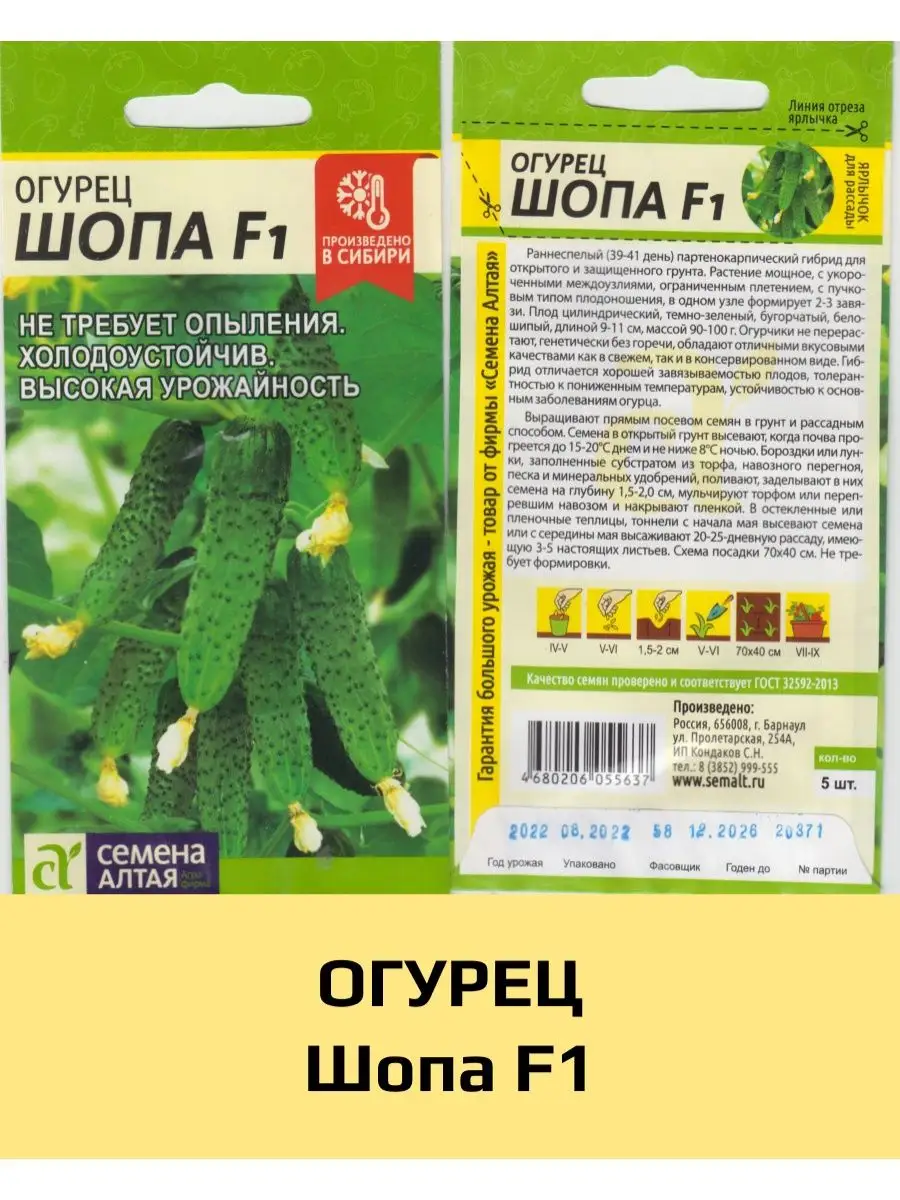 Купить Семена Огурцов В Туле