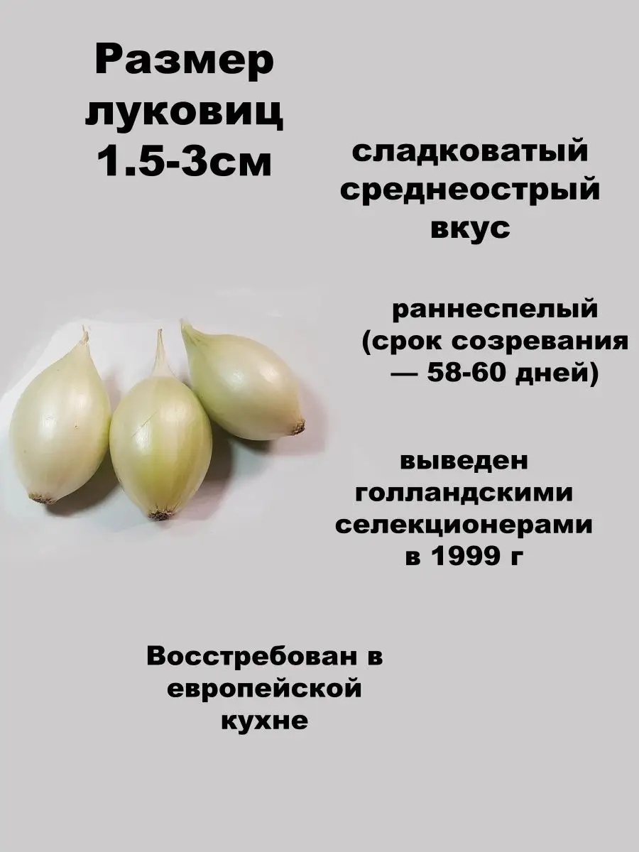 Набор лук севок Штутгартер и Стардаст Семенология 99095192 купить за 635 ₽  в интернет-магазине Wildberries