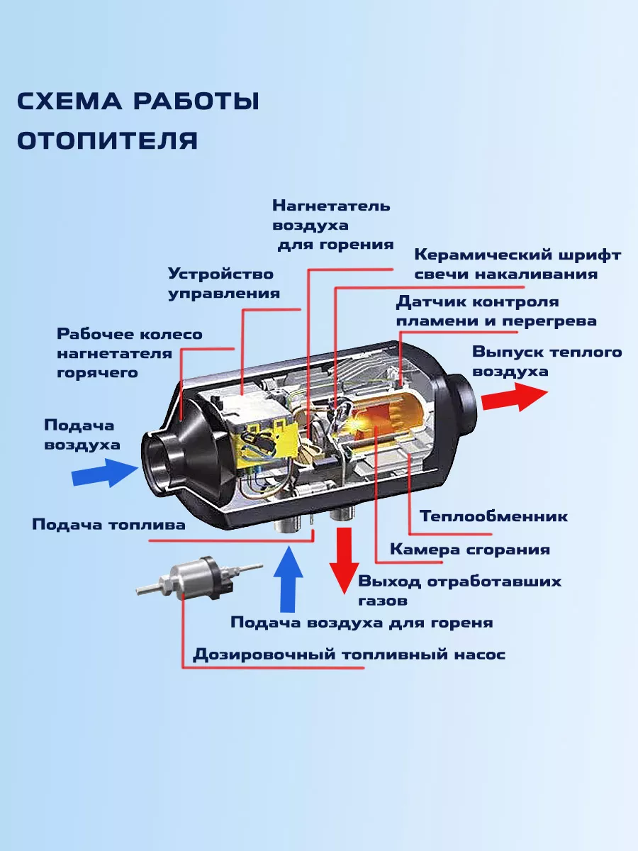 УЗИ органов малого таза