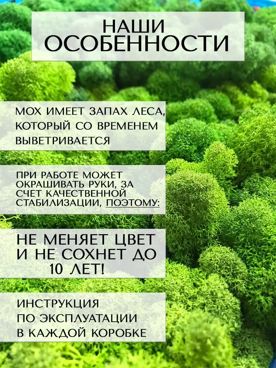 Мох стабилизированный Планета Флористики 99128949 купить за 1 638 ₽ в  интернет-магазине Wildberries