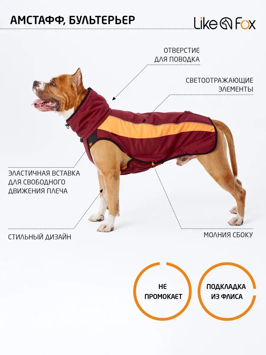 Подобрать размер одежды для собаки