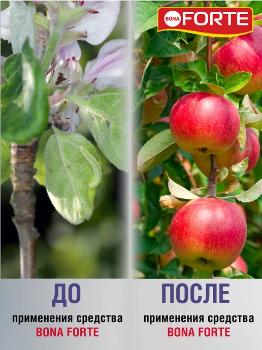Bona Forte Средство от тли и гусениц в саду концентрат 1 л, 1 л, фото 2