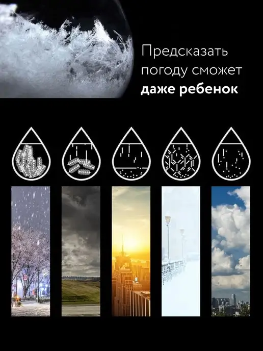 Gift Development Предсказатель погоды Штормгласс Декор Снежный шар, вариант, фото 3