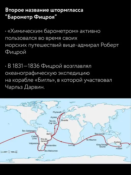 Gift Development Предсказатель погоды Штормгласс Декор Снежный шар, вариант, фото 6