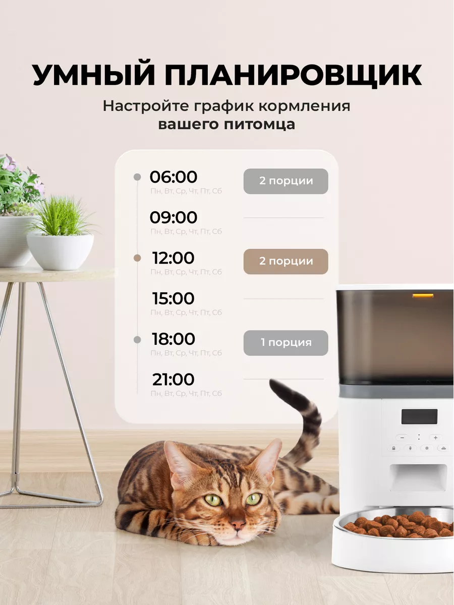 Автоматическая кормушка для кошек и собак с таймером PetPaw 99204322 купить  за 3 510 ₽ в интернет-магазине Wildberries