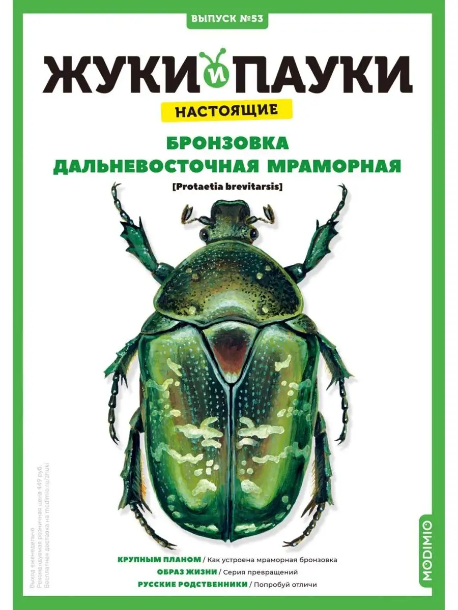 Жуки и Пауки, №53, Бронзовка дальневосточная мраморная MODIMIO 99218272  купить за 471 ₽ в интернет-магазине Wildberries