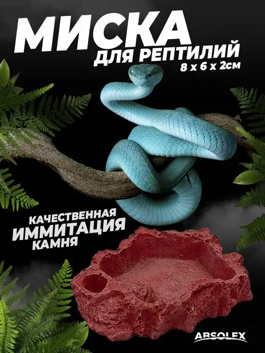 Absolex Поилка кормушка для террариума рептилий, коричневый