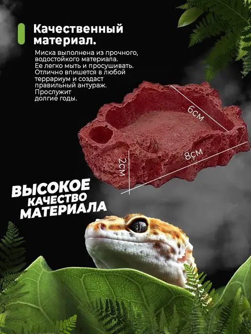Absolex Поилка кормушка для террариума рептилий, коричневый, фото 2