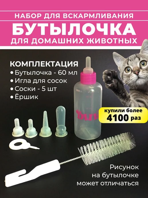 Уход за новорожденными котятами — Purina ONE®