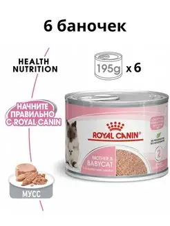 Мусс для котят Mother&Babycat, 6 шт. по 195 г ROYAL CANIN 99413335 купить за 1 574 ₽ в интернет-магазине Wildberries