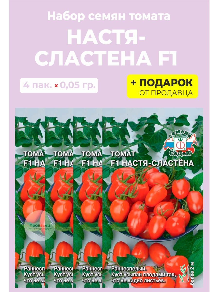 Семена томата настенька описание. Томат Настя семена. Помидоры Настя Сластена. Сорт помидор Настя Сластена. Семена помидор Настя.