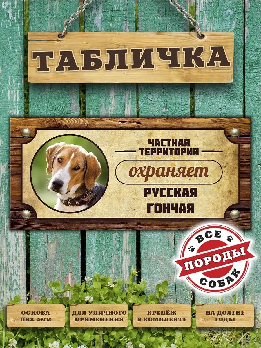 Табличка, Русская гончая Злая собака 99671526 купить за 438 ₽ в  интернет-магазине Wildberries