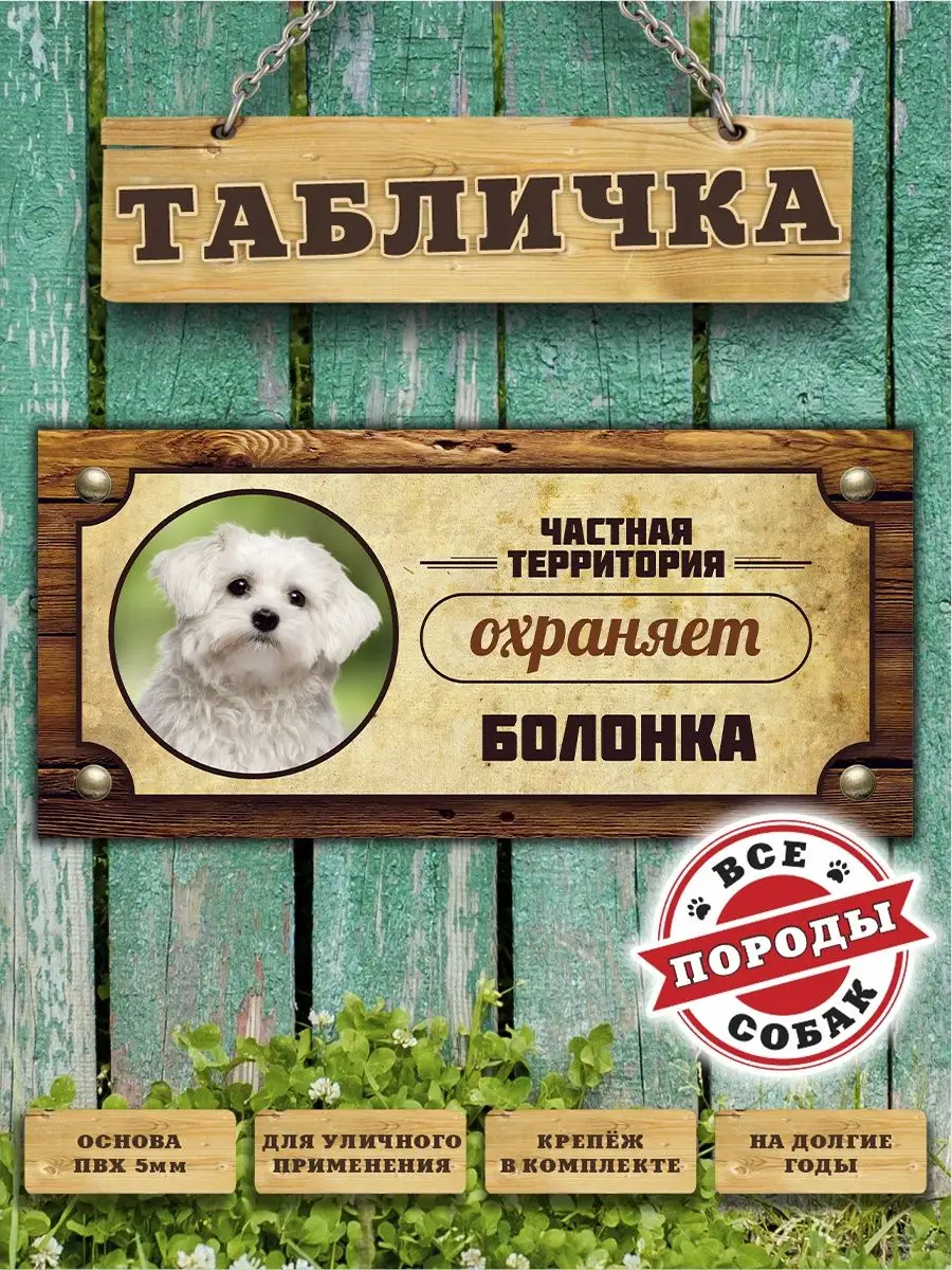 Табличка, Болонка Злая собака 99678126 купить за 448 ₽ в интернет-магазине  Wildberries