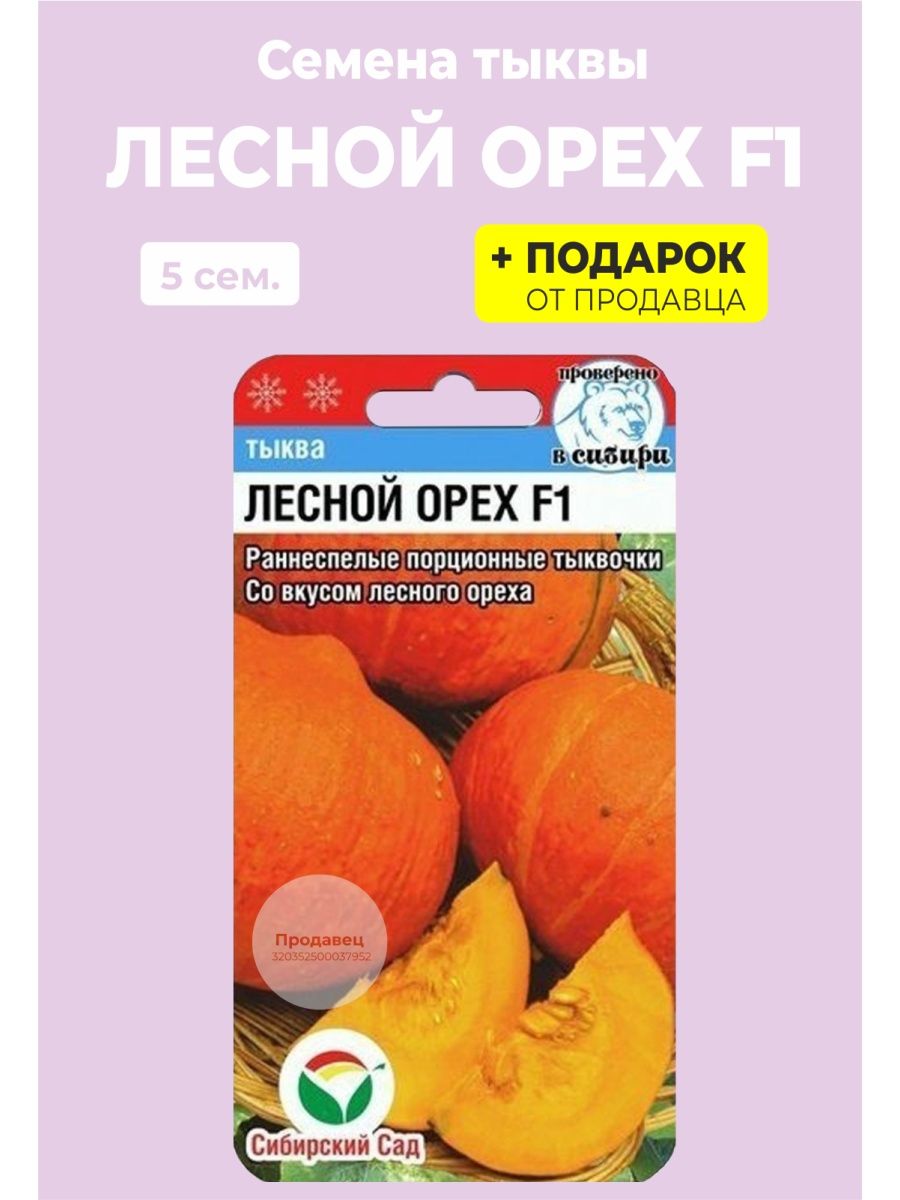 Тыква лесной орех описание