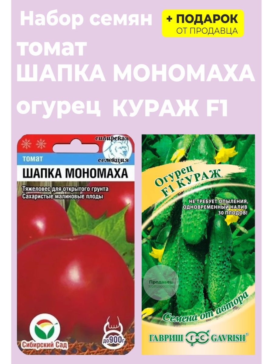 Помидор шапка мономаха описание сорта фото. Семена томатов шапка Мономаха. Томат шапка Мономаха характеристика. Помидоры шапка Мономаха описание. Помидоры шапка Мономаха фото.