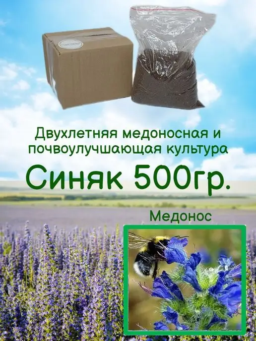 GreenSpace Синяк обыкновенный семена, вариант