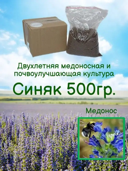 GreenSpace Синяк обыкновенный семена, вариант, фото 4